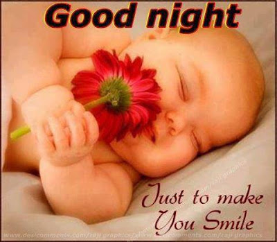 good night good night