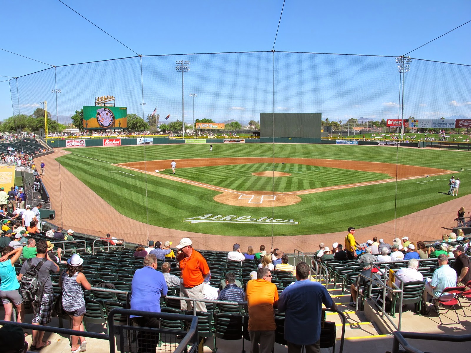 Blog About a Dog Hohokam Stadium