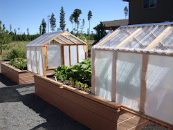 mini greenhouse raised beds bed greenhouses garden both build gardens winter slides open covers danger inside plans tall frost awesome