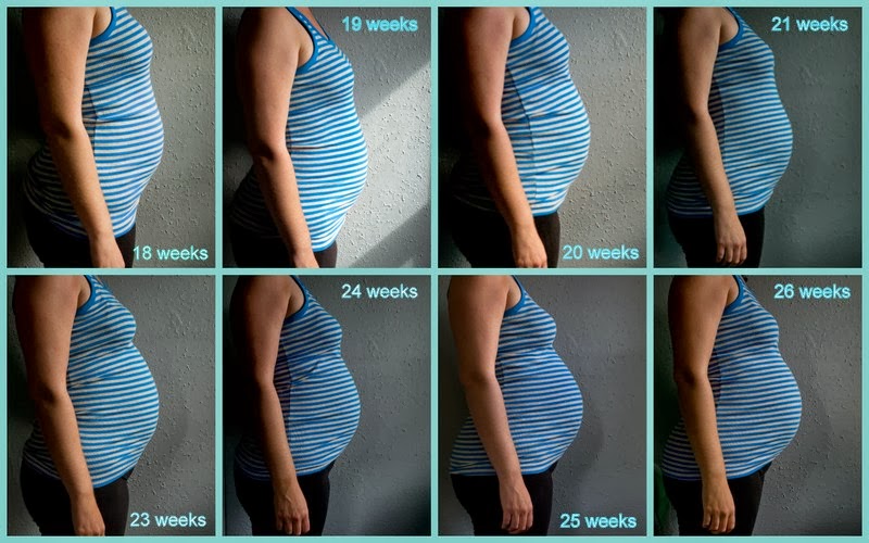 Lovely Apidae Pregnancy Update End Of Second Trimester