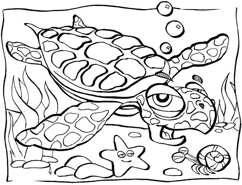 Animal Colouring Pages For Kids: Animal Ocean Coloring Pages