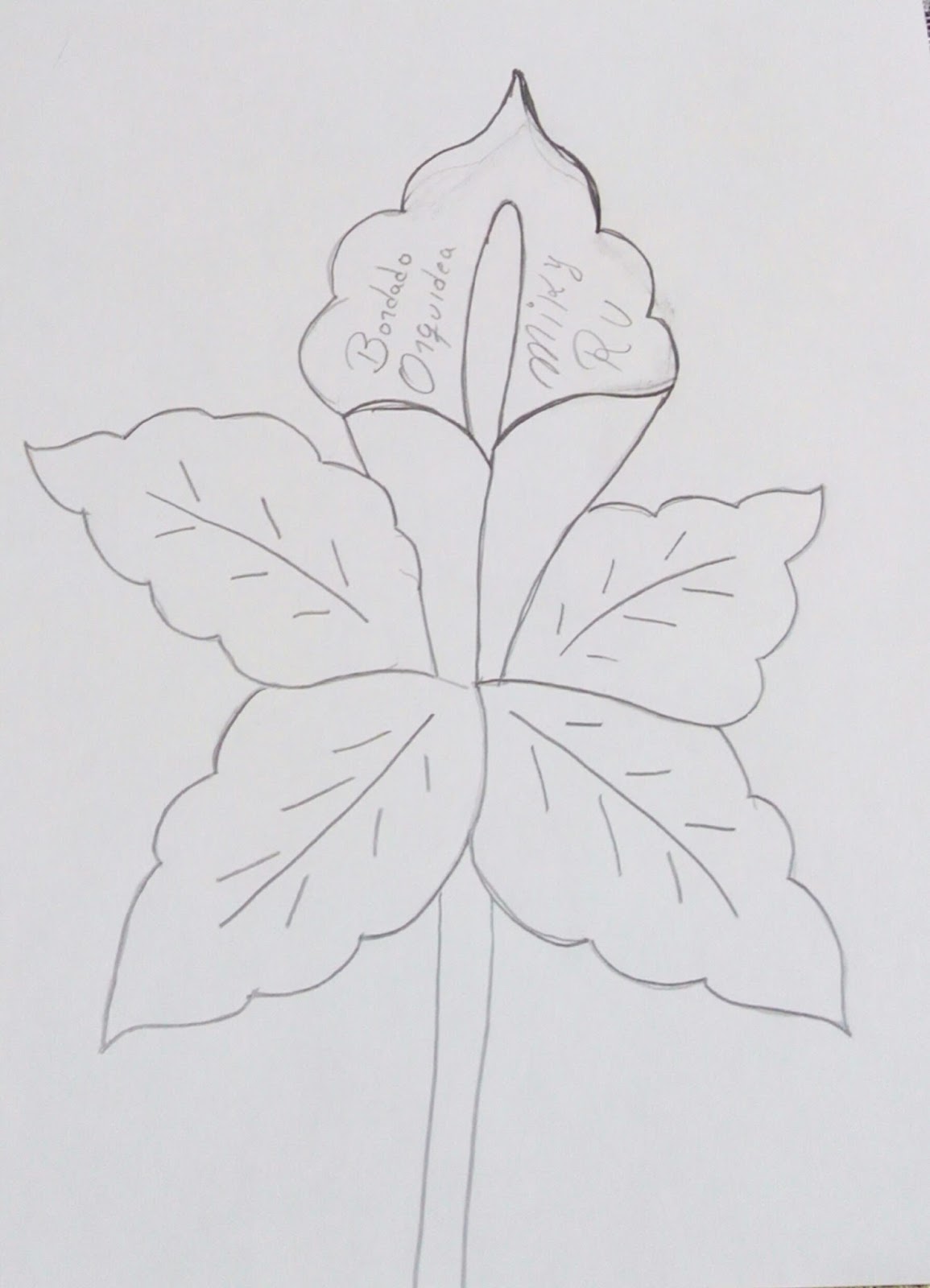 DIBUJO FLOR DE ORQUIDEA