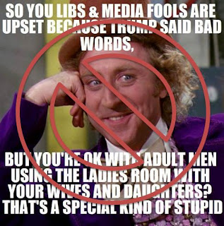 Think Before You Meme - Bad Meme - Libs and Media - Willy Wonka - Special Kind Of Stupid - The Sometimes Serious Blog http://www.sometimes-serious.com/2016/10/please-for-love-of-our-nation-think.html