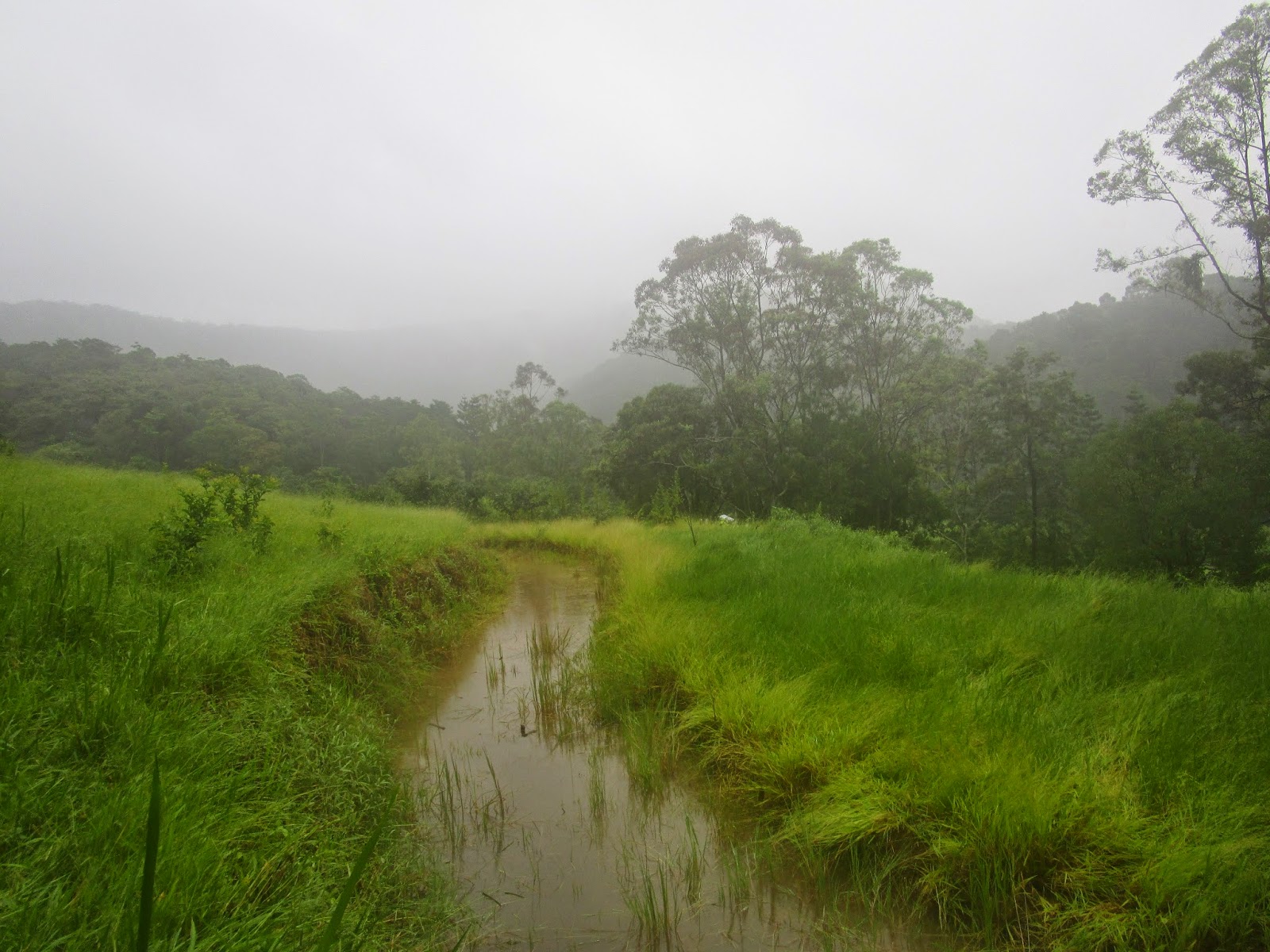 130m long full swale at the Permaculture Research Institute Sunshine Coast