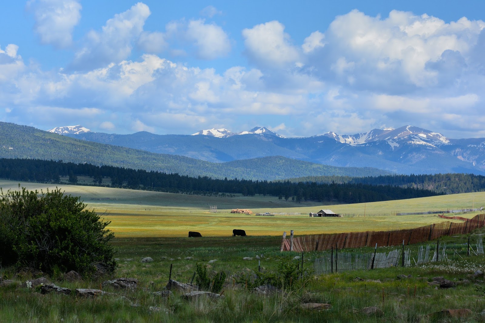 Creative Journey Week 24 2017 in Photographs