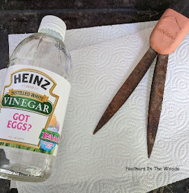 White vinegar for removing rust from garden clippers