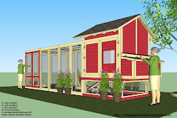 chicken coop plans chickens build construction homegardendesignplan