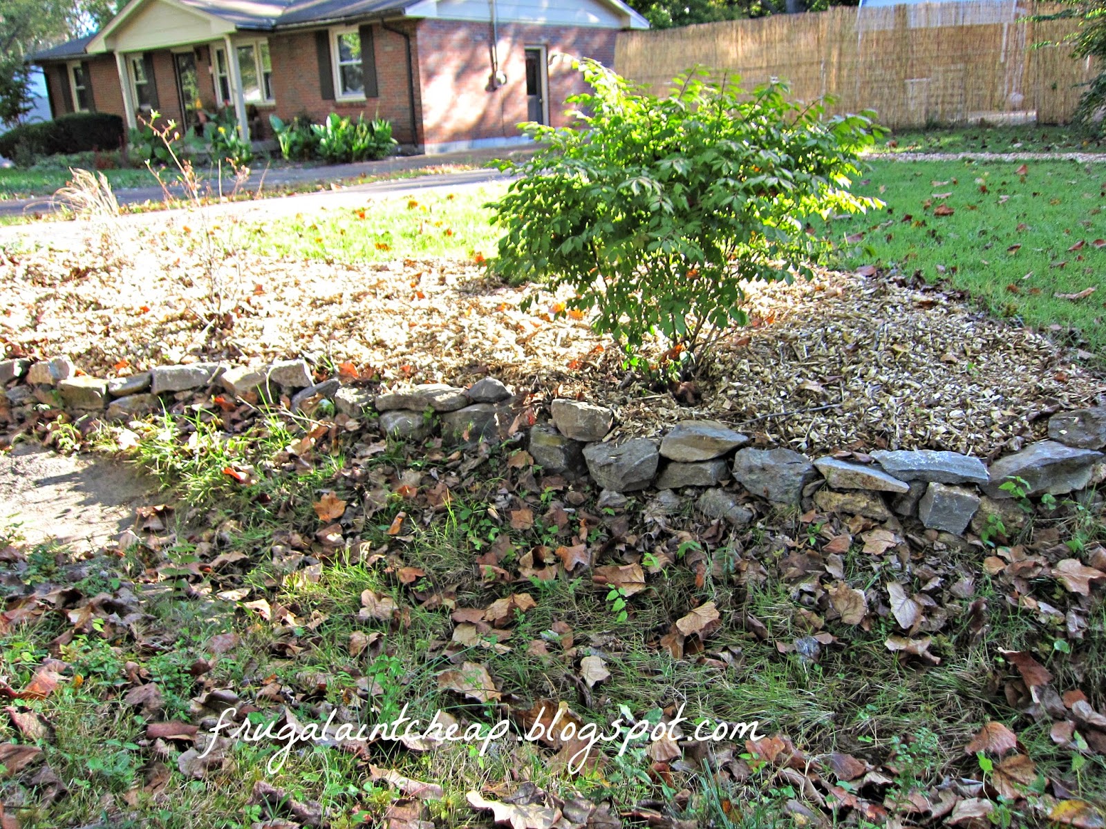 Wood Chips Wood Chips Driveway