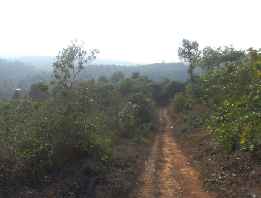 Wayanadlinks 3 acre land for sale at Wayanad,Mananthavady