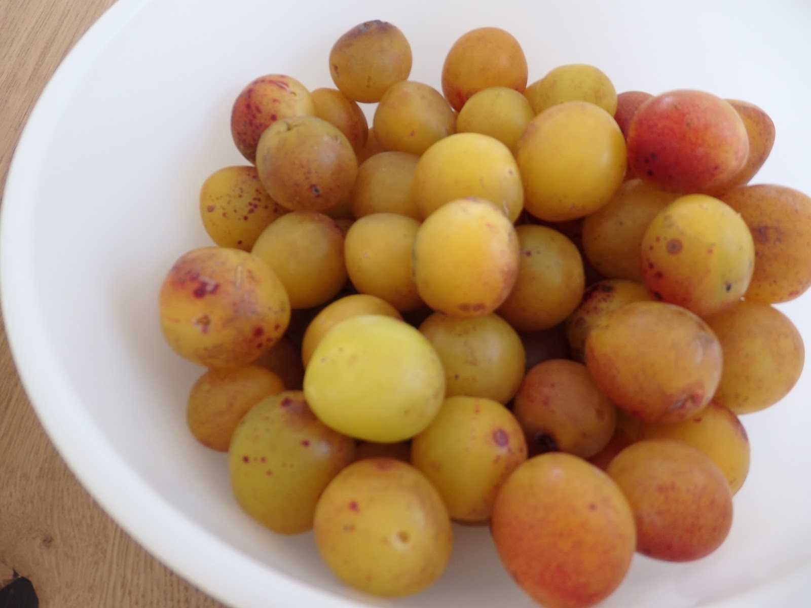 Vom Baum auf den Tisch: Mirabellenmarmelade