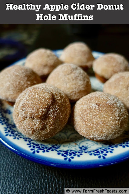 Apple cider and nutmeg-spiced whole grain baked treats covered with cinnamon sugar are a lightened-up version of the popular fall donut.