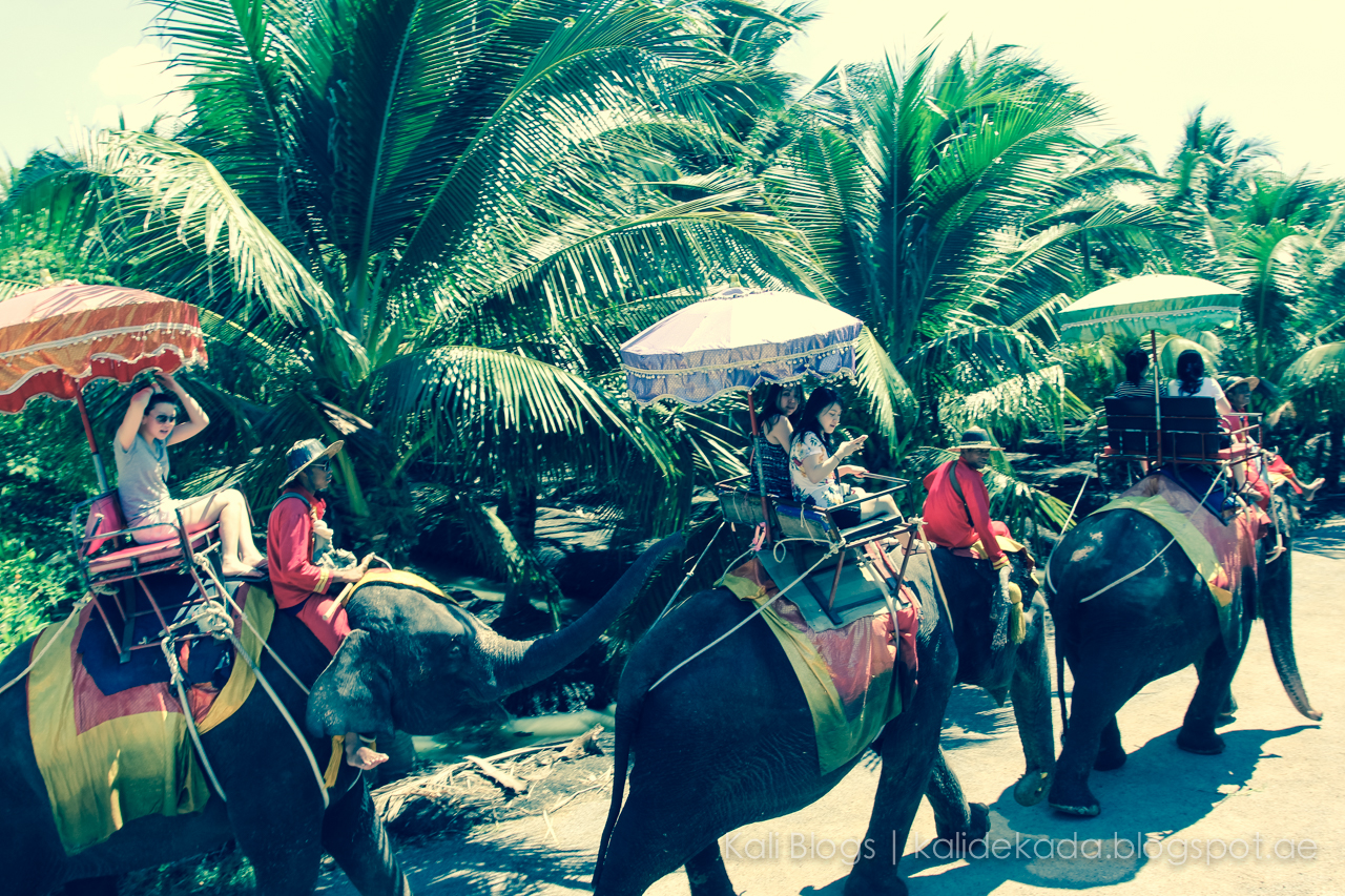 Kali Our First & LAST Elephant Ride