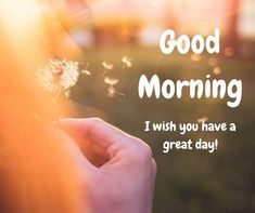 good morning friends images hd