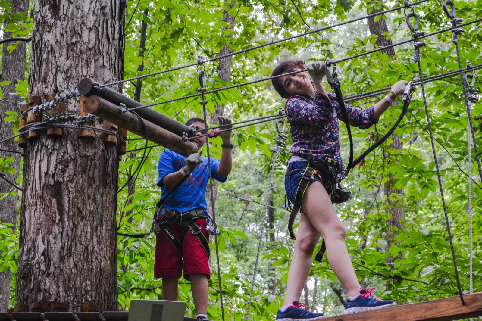Chirpy on a Branch! Treetop Quest Offers Unique Family Friendly Eco