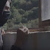 FADED: Το νέο video clip του 2ου ΓΕΛ Ηγουμενίτσας