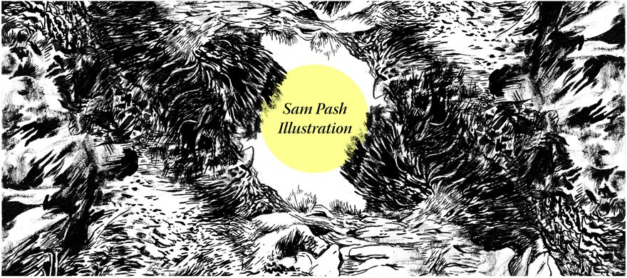Sam Pash Illustration