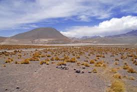 Circuitos turísticos en Chile Desierto de Atacama y Altiplano (1)