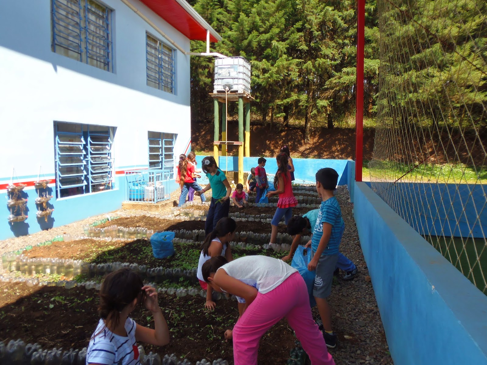 CEM ARNOLDO FREY: PROJETO ESCOLA NO CAMPO