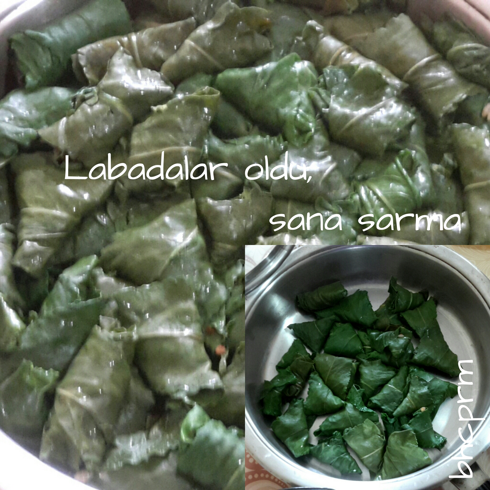Efelek (Labada) Sarması Tarifi Efelek (Labada) Sarması Tarifi