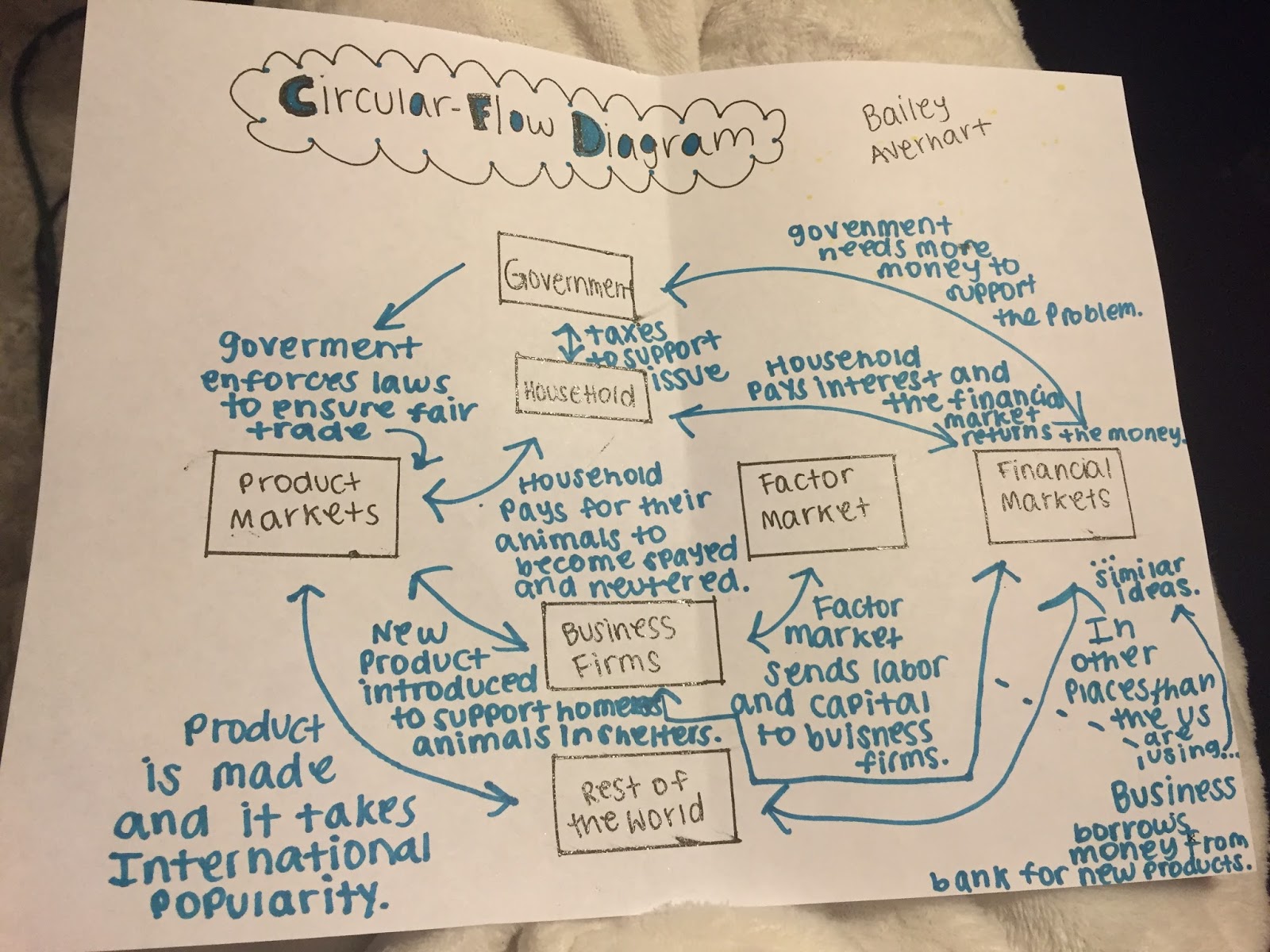 Animal Overpopulation