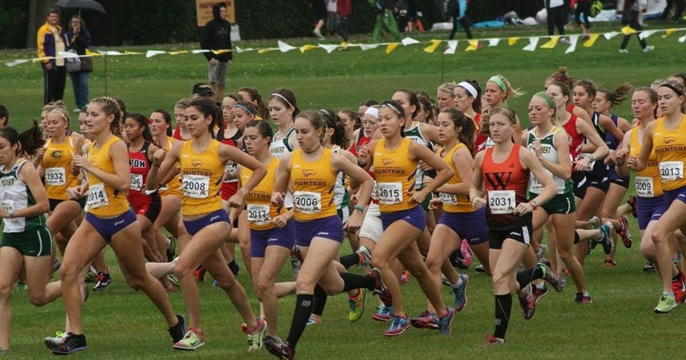 The Scorpion and the Frog Effects of Iron Deficiency in Female Runners