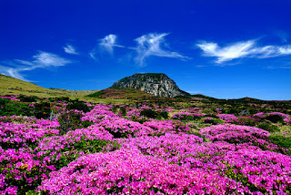 El monte Halla es un ícono dentro de la isla Jeju, en Corea