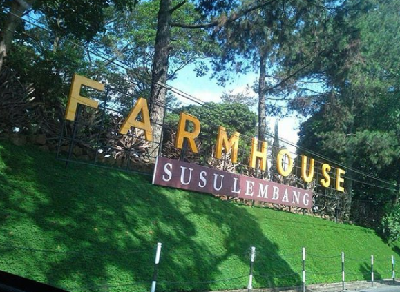 Review Farmhouse Lembang di Bandung