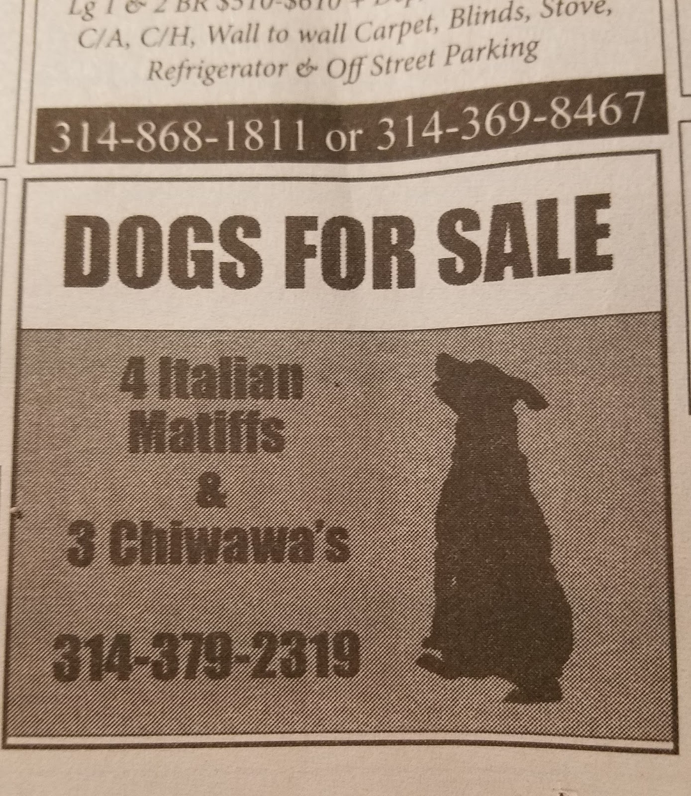 Divinebunbun's Rugged Rural Missouri: Dawgs for Sale