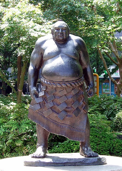 Yokozuna Tanikaze at Kōtōdai park 
