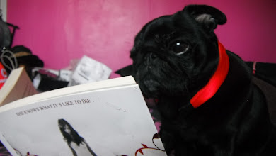 Ginny the book reading pug