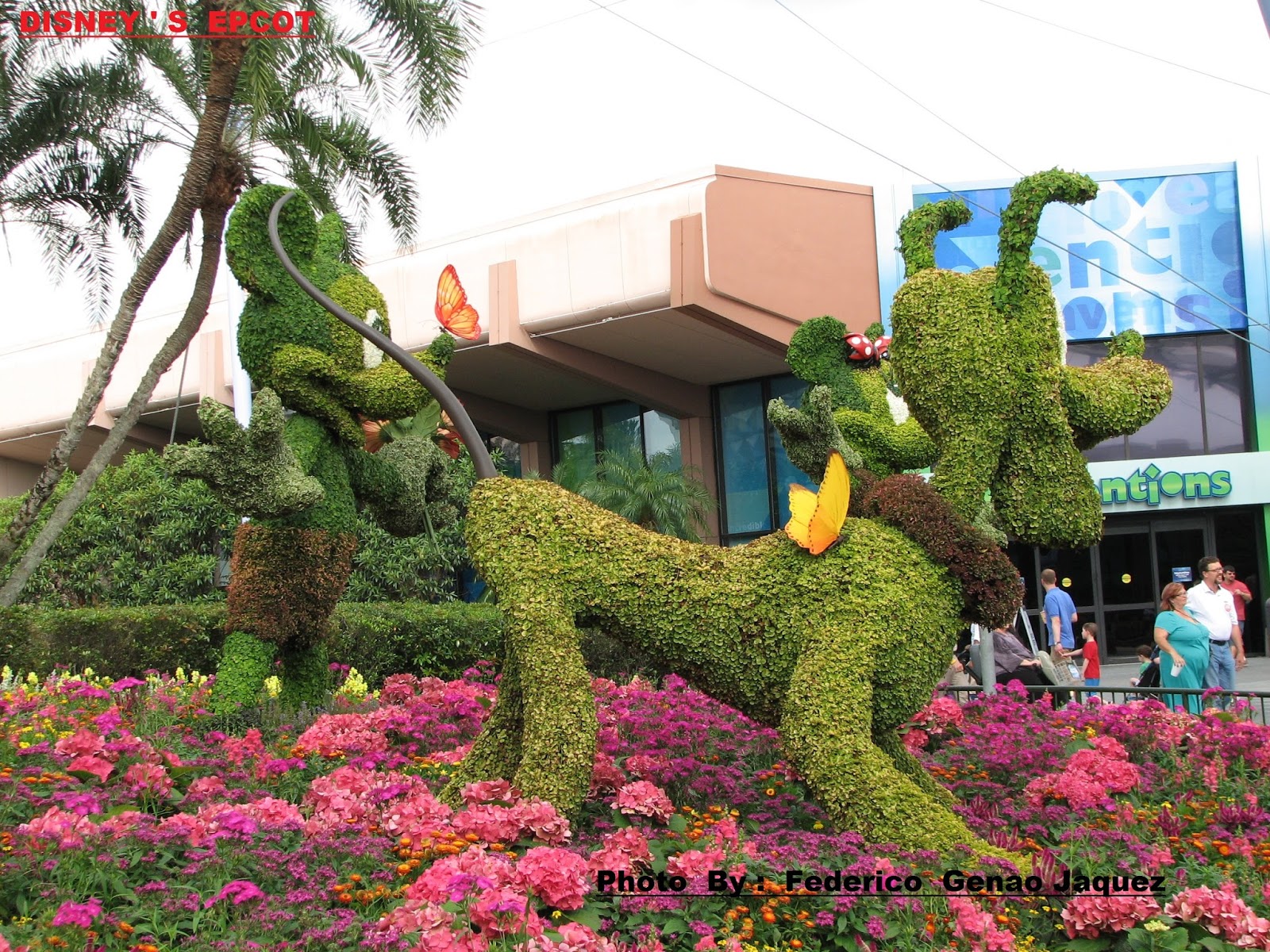 Bonao Internacional FESTIVAL DE LAS FLORES , EN EL BELLISIMO PARQUE
