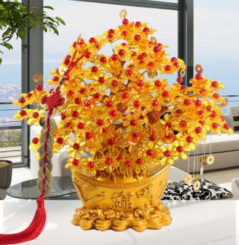 Cây kim tiền ở Thạch Thất Cay kim tien o Thach That