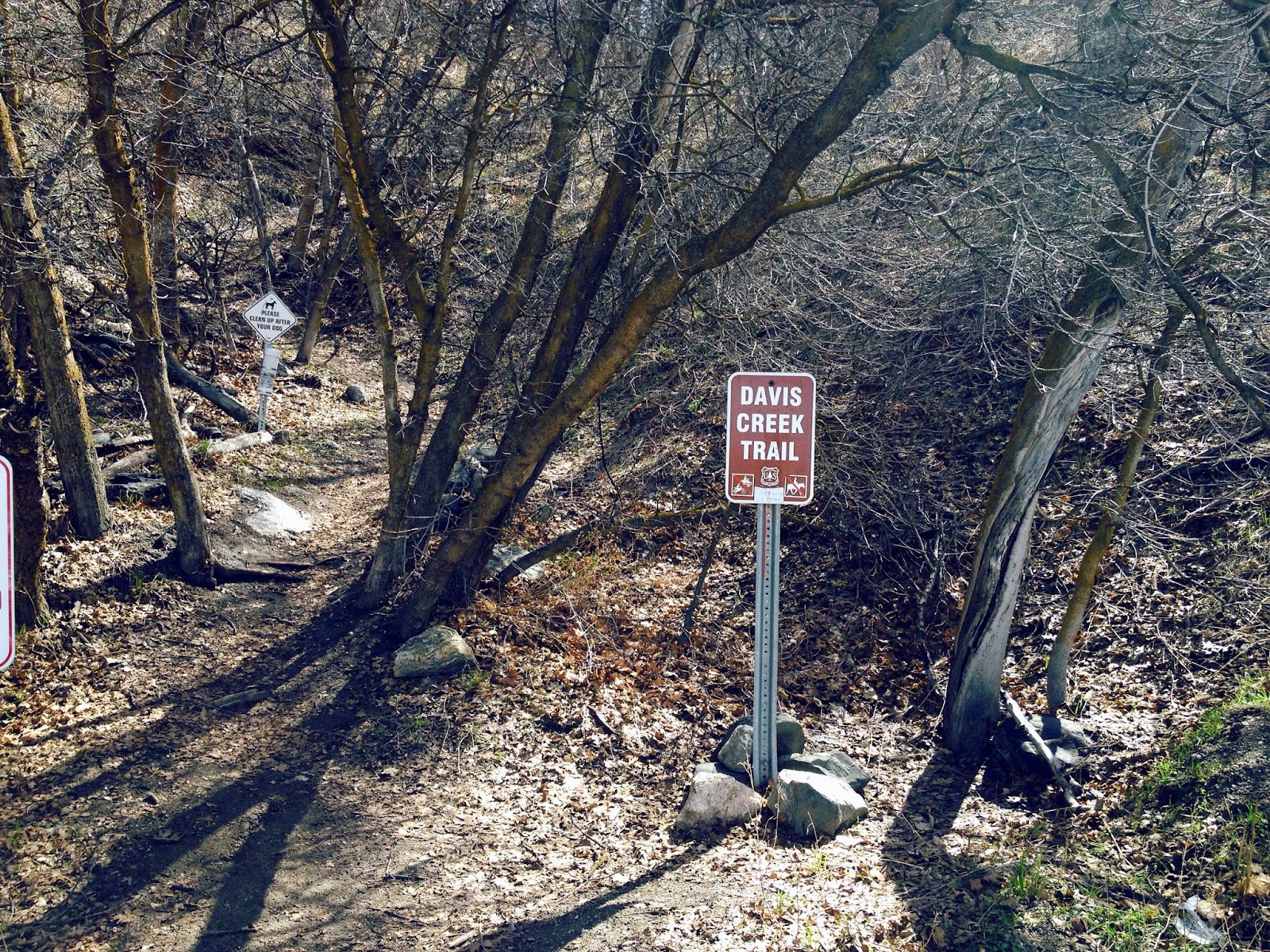 Sisters by the Sea Travelogue Tuesdays; Davis Creek Trail