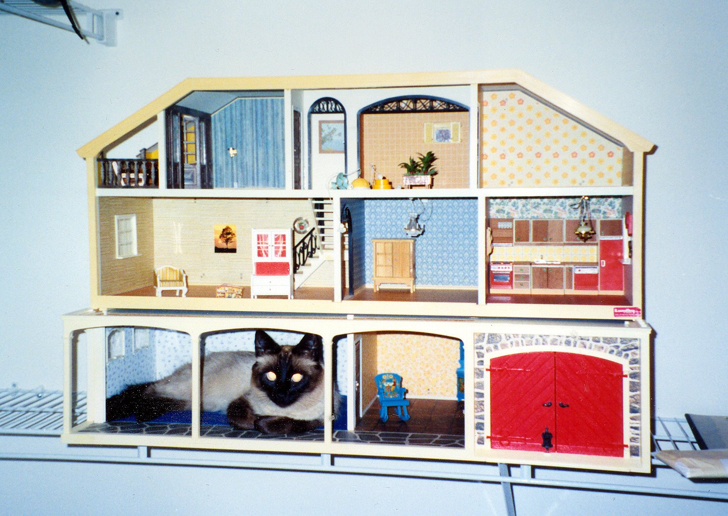 cats in doll houses