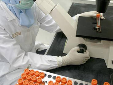 Investigador