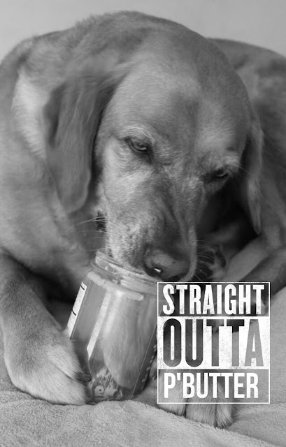 Dog licking peanut butter jar #straightoutta