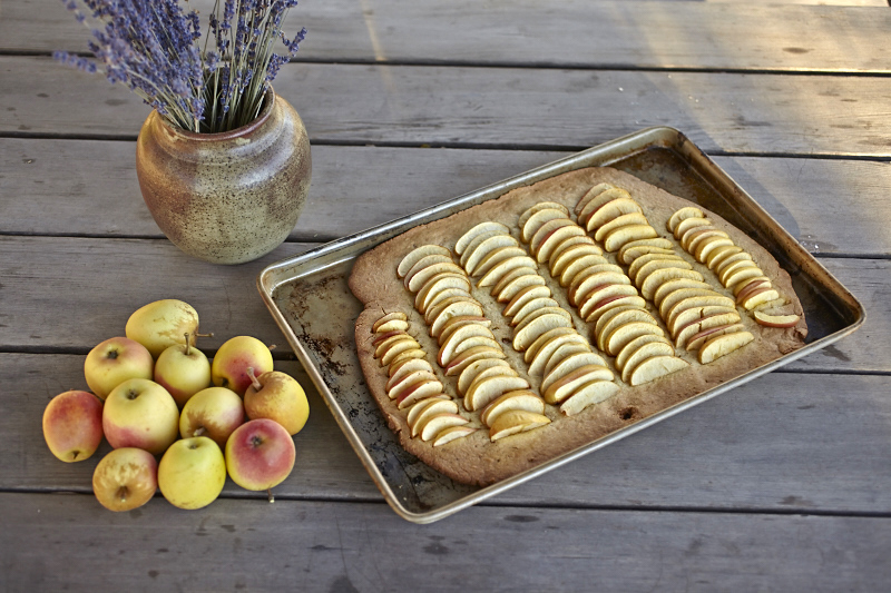 gluten free apple tart galette crostata polenta crust yellow corn meal