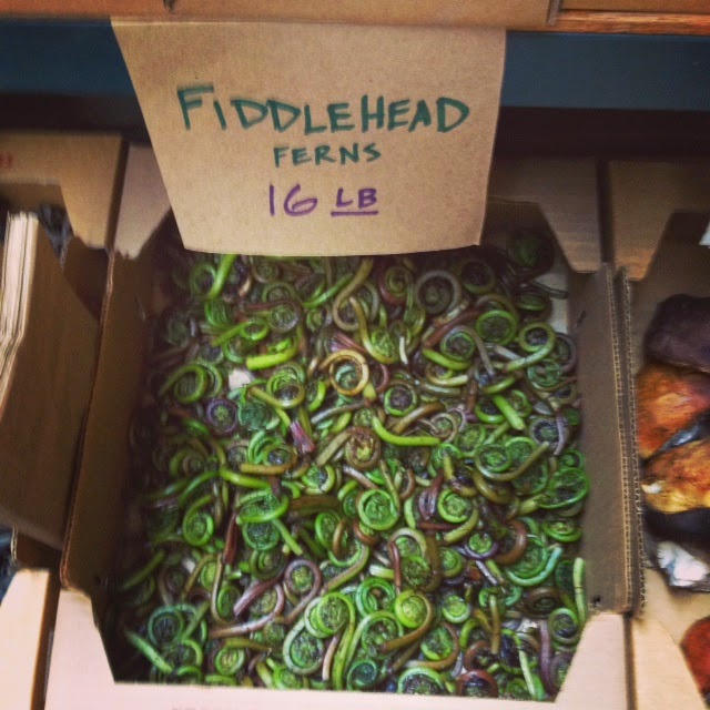 . Morel and Fiddlehead Fern Tart