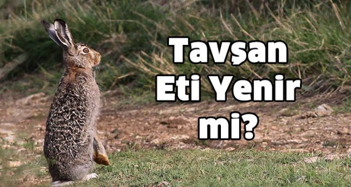 EN ÇOK TIKLANAN SİTELER