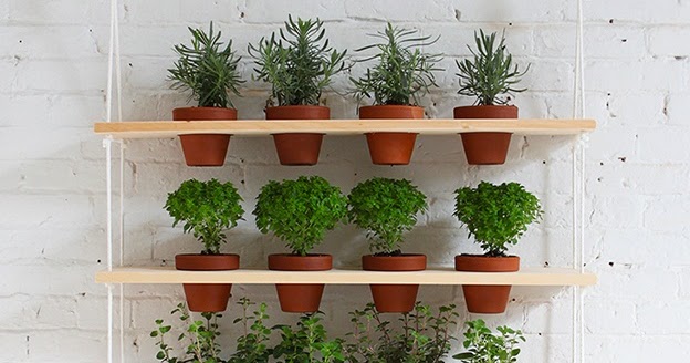 DIY : Hanging Herb Garden That Brings The Outdoors In - 101 Gardening