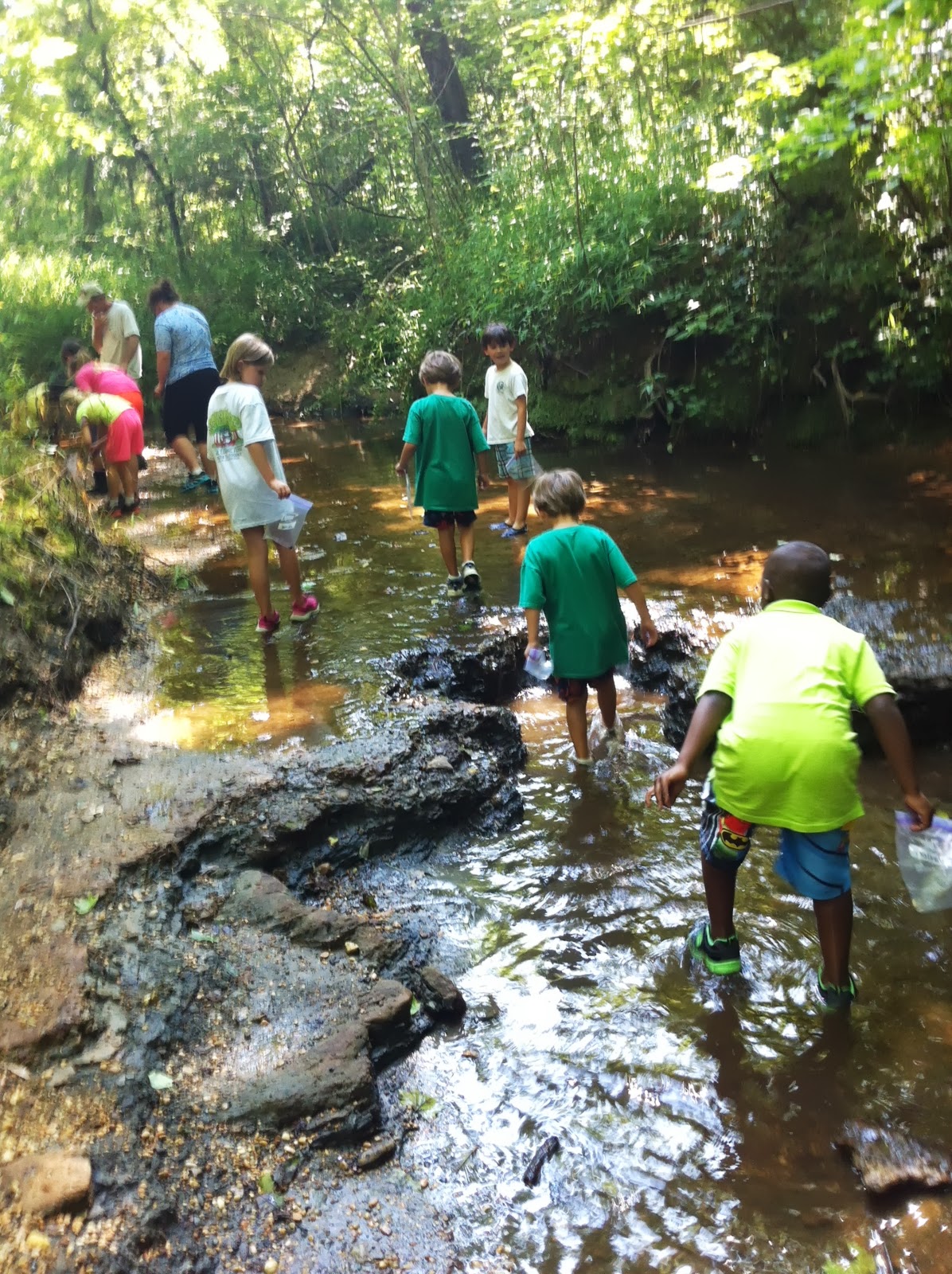 NotSoLazy Days of Summer Shark Tooth Creek field trip