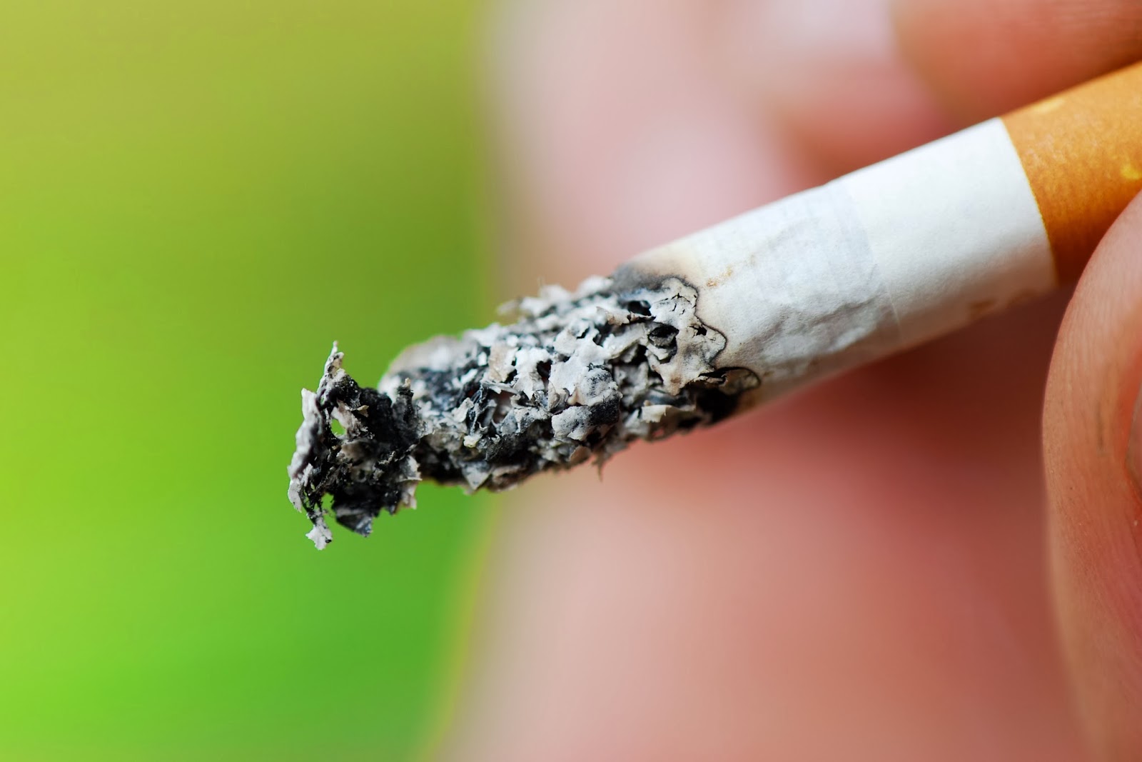 Turning Dutch Smoking and Children The Dutch Attitude (Part II)