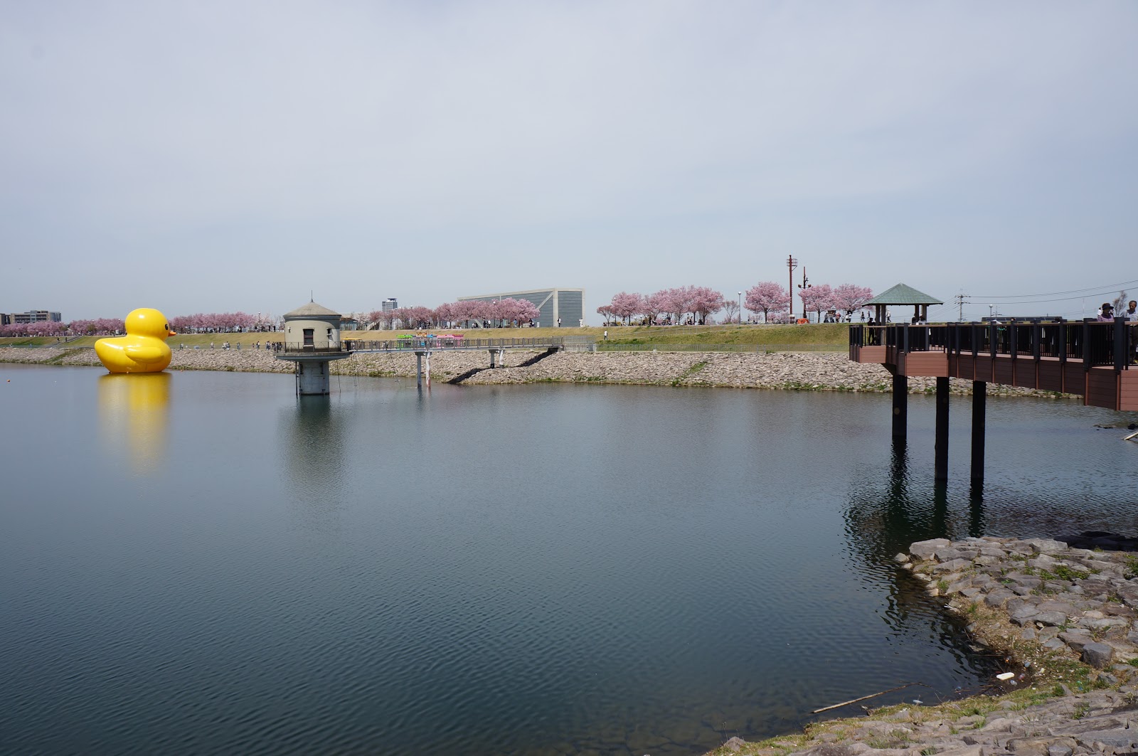 【街歩き】狭山池 日本最古のため池と北条氏(大阪狭山市) ・大阪府立狭山池博物館・狭山藩陣屋跡・さやま遊園跡