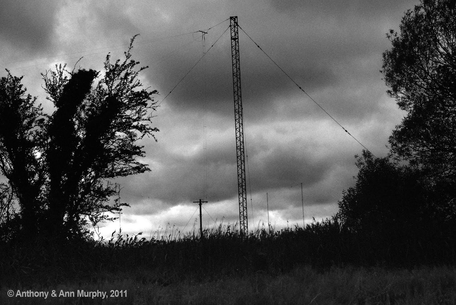 Ham Radio Ireland EI2KC Photos of the Shanwick receive antennas at