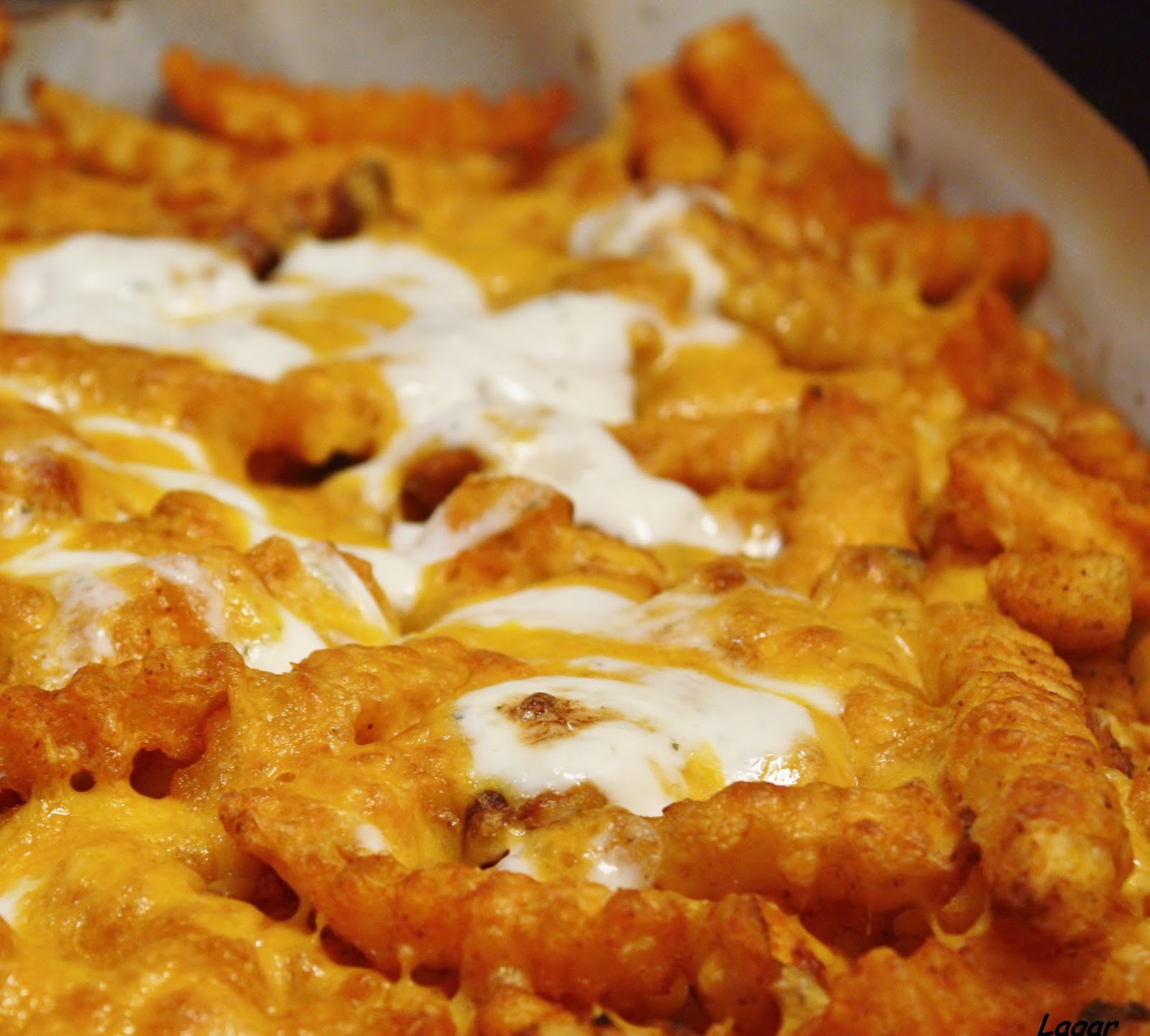 Best of Long Island and Central Florida Buffalo Cheese Fries