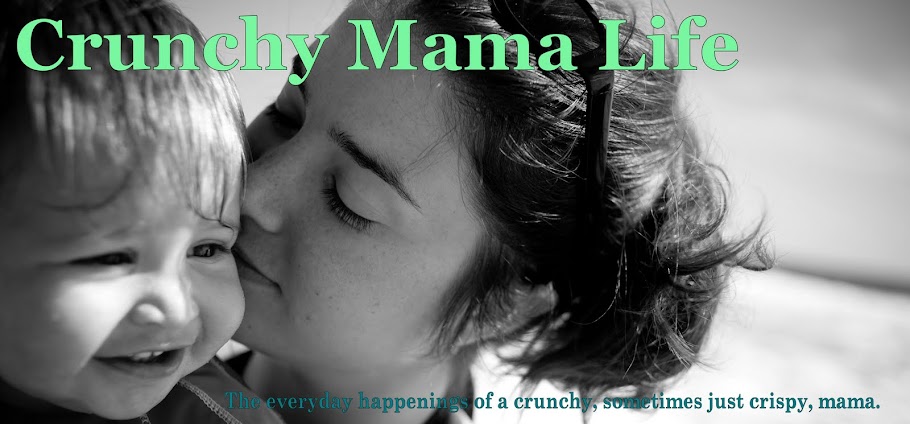 Crunchy Mama Life