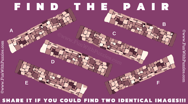 It is hard picture riddles in which one has to find the matching pair of bricks.