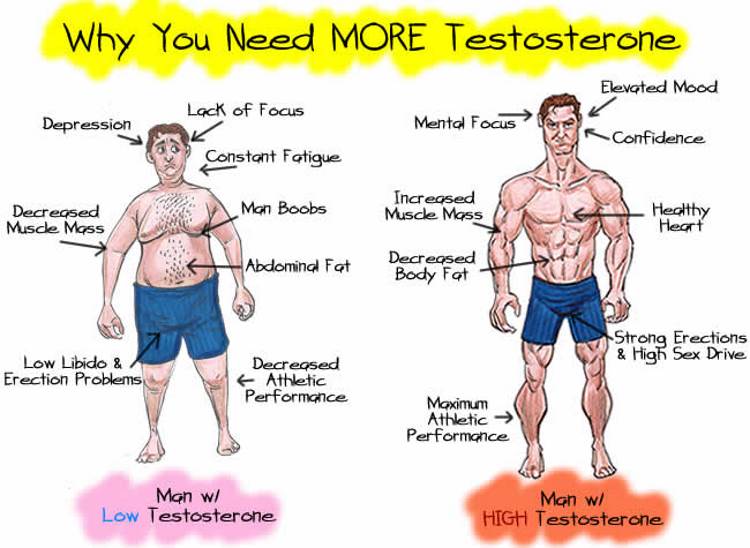 5 Proven Ways To Increase Testosterone Levels Naturally Www 