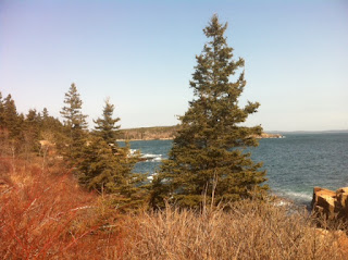 Acadia National Park