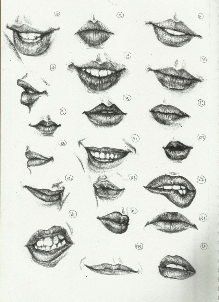 draw with the anatomy of human face learn new things